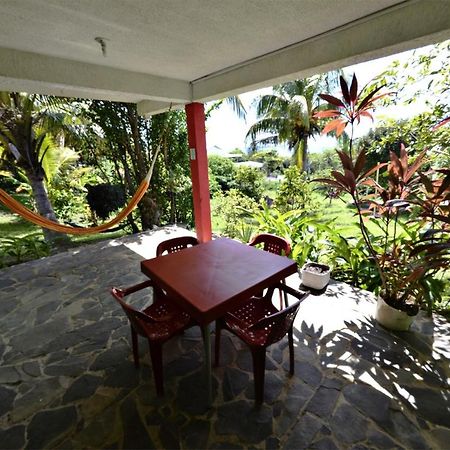 Windy View Guest House Archibolds 외부 사진