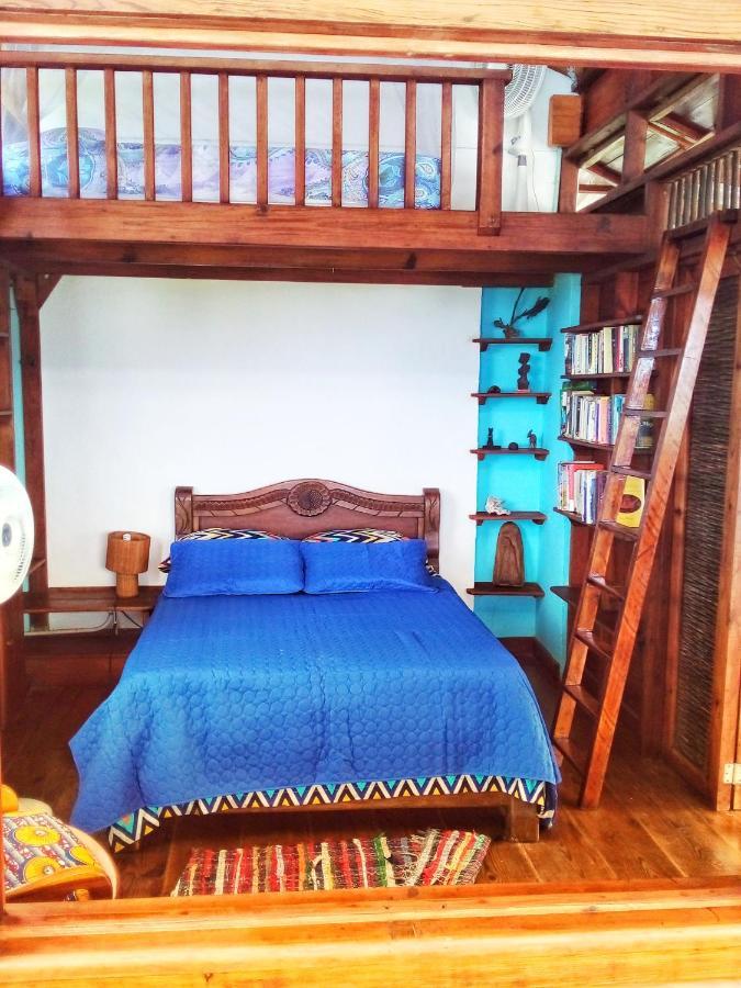 Windy View Guest House Archibolds 외부 사진