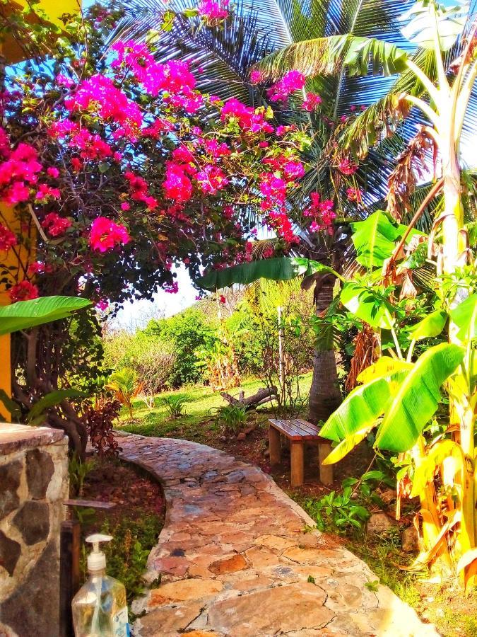Windy View Guest House Archibolds 외부 사진