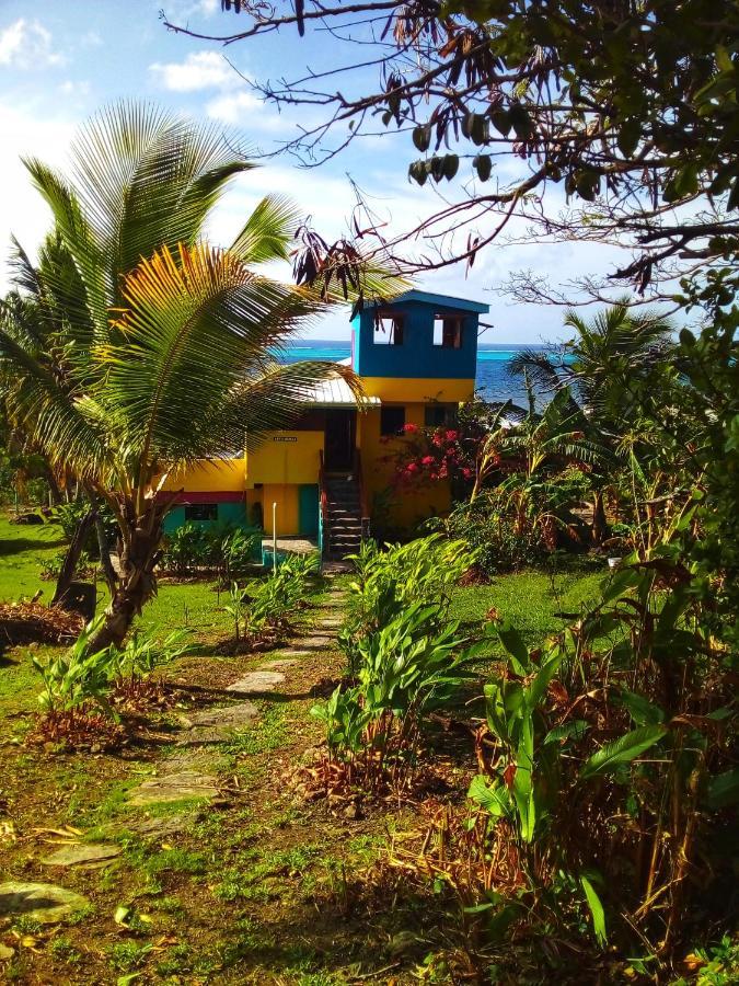 Windy View Guest House Archibolds 외부 사진