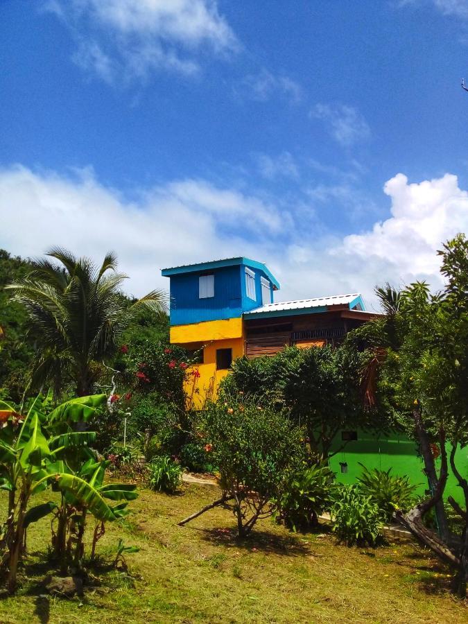 Windy View Guest House Archibolds 외부 사진