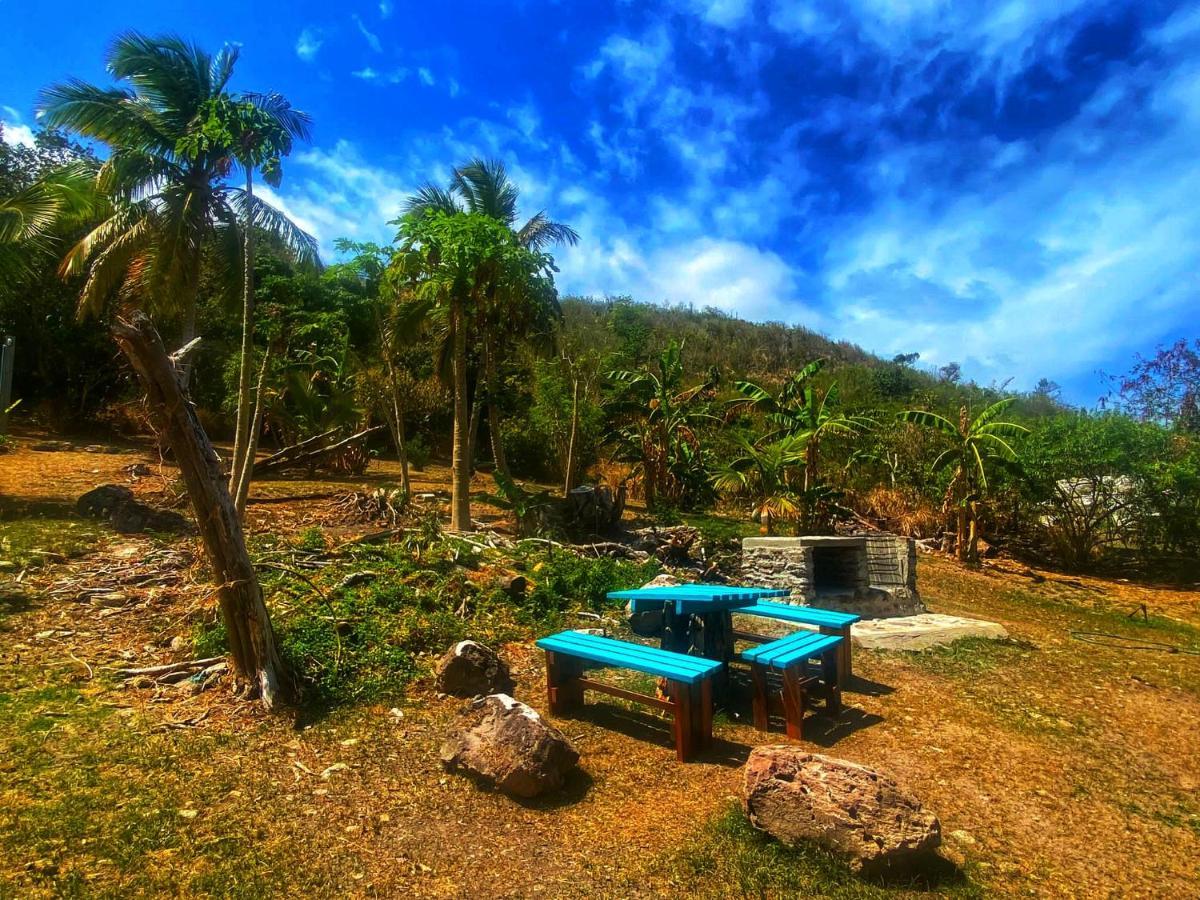 Windy View Guest House Archibolds 외부 사진