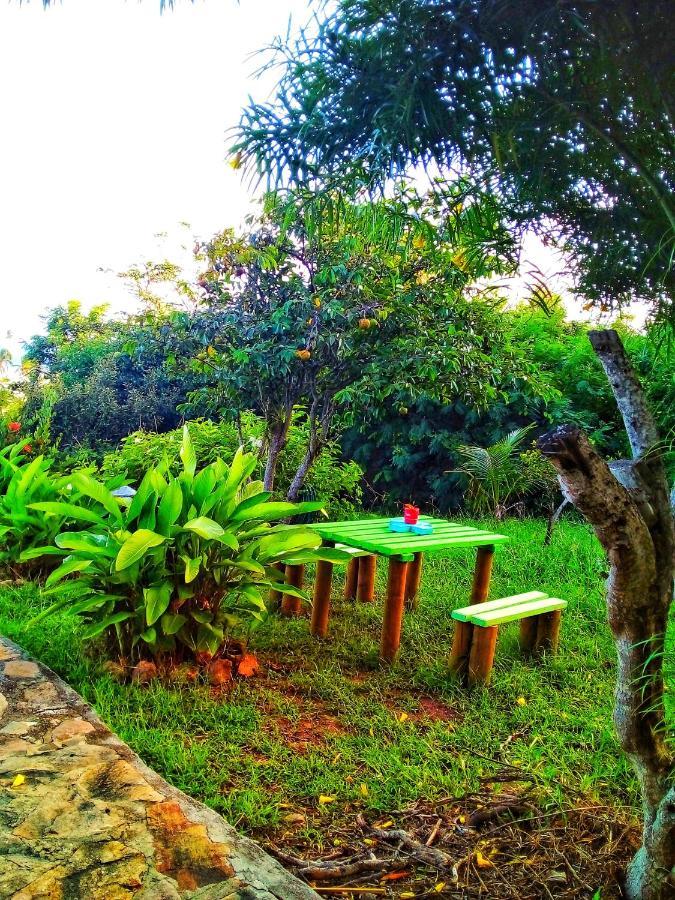 Windy View Guest House Archibolds 외부 사진
