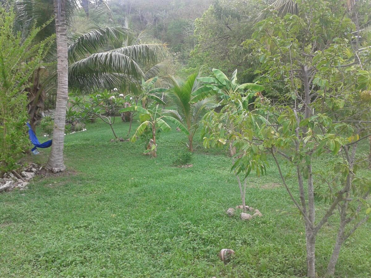 Windy View Guest House Archibolds 외부 사진