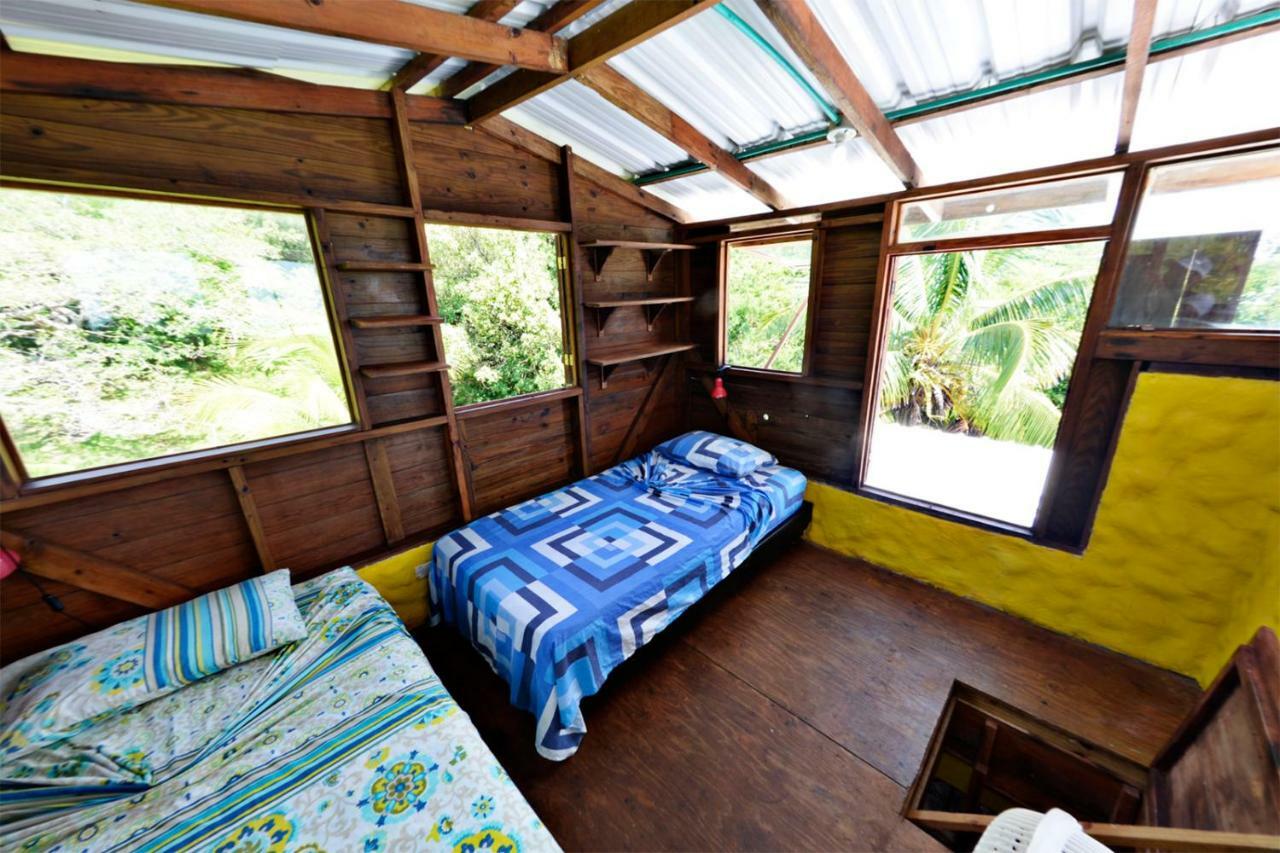 Windy View Guest House Archibolds 외부 사진
